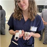 Prof en ligne disponible pour vous faire réussir en biologie